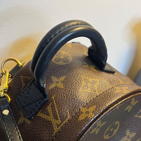 Louis Vuitton Monogram Palm Springs Mini Backpack, blk leather trim, Gold HW - Picture 4 of 16